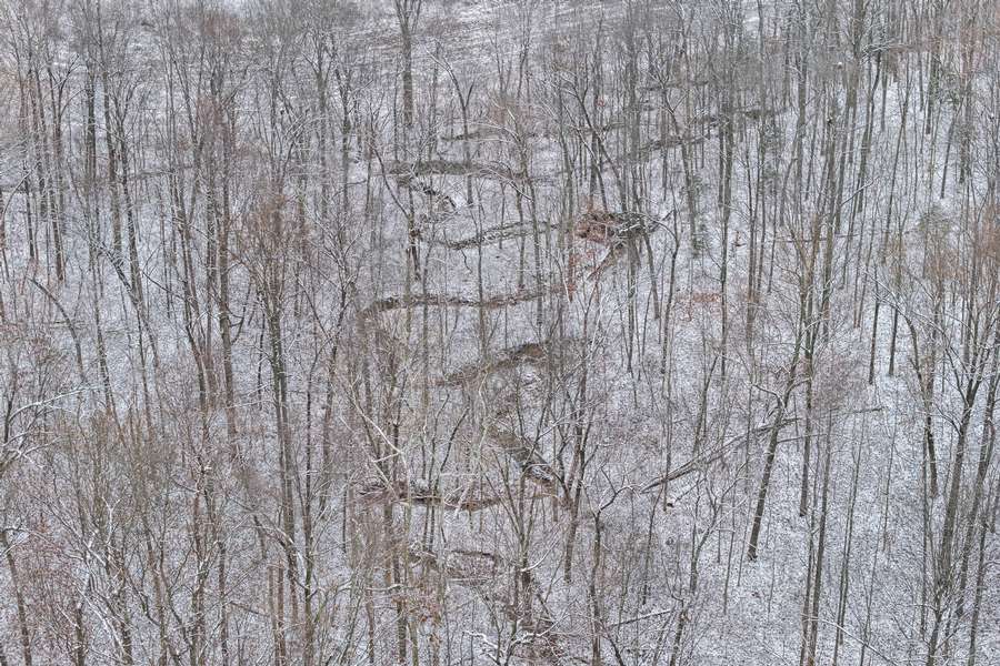 19-0 Waggener Ch-Chalbeate Rd Clay KY 42404_20251203_019.jpg